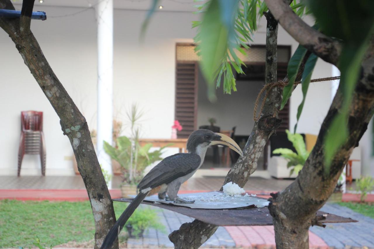 Miheen Hotel & Resort - Anuradhapura Мігінтейл Екстер'єр фото